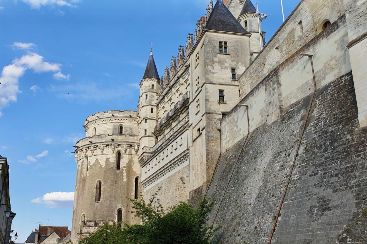 Splendid Apartment At The Foot Of The Castle Of Amboise - View Of The Loir מראה חיצוני תמונה